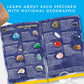 NATIONAL GEOGRAPHIC Mega Gemstone Dig Kit - Dig Up 15 Real Gemstones and Crystals, Science Kit for Kids, Gem Digging Kit, Gift for Girls and Boys