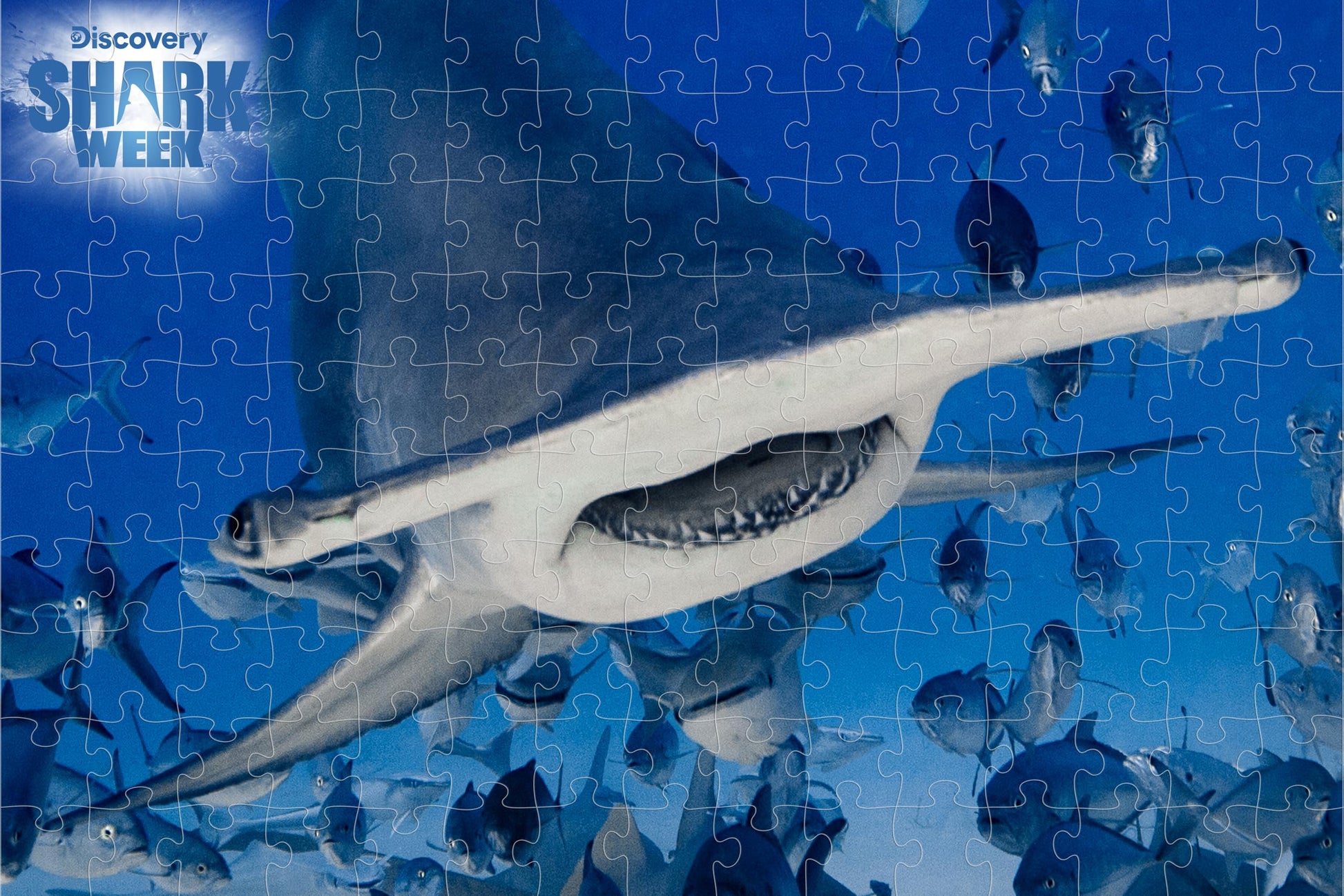 Prime 3D Shark Week Puzzle - 150 Piece 3D Lenticular Underwater Jigsaw for Kids & Families, 18"x12" Educational Activity, Official Discovery Gift