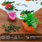 Audrey 2 Cannibal Flower Building Block Set, Little Shop of Horrors Piranha Plant with Openable Mouth Toy Collection, Gift Birthday, Christmas