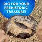 NATIONAL GEOGRAPHIC Dino Fossil Dig Kit & Dinosaur Book for Kids- Excavate a Replica Dinosaur Tooth Fossil and Study Paleontology with a Full-Color