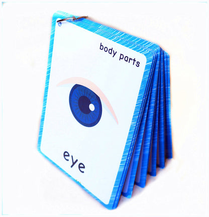 SANTSUN 36 Pieces of My Body Parts Flash Cards for Toddlers- The Flash HolePunched- So You can sort and Organize The Cards Easily and Early Learning