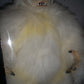 Star Wars Collector Series 12 Inch Luke Versus The Wampa - Star Wars