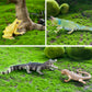 Toymany Reptile Animal Figurine Toys Set, 12 PCS Halloween Desert Amphibians Animal Figures with Komodo Dragon Lizard Snake Chameleon Rainforest Cold
