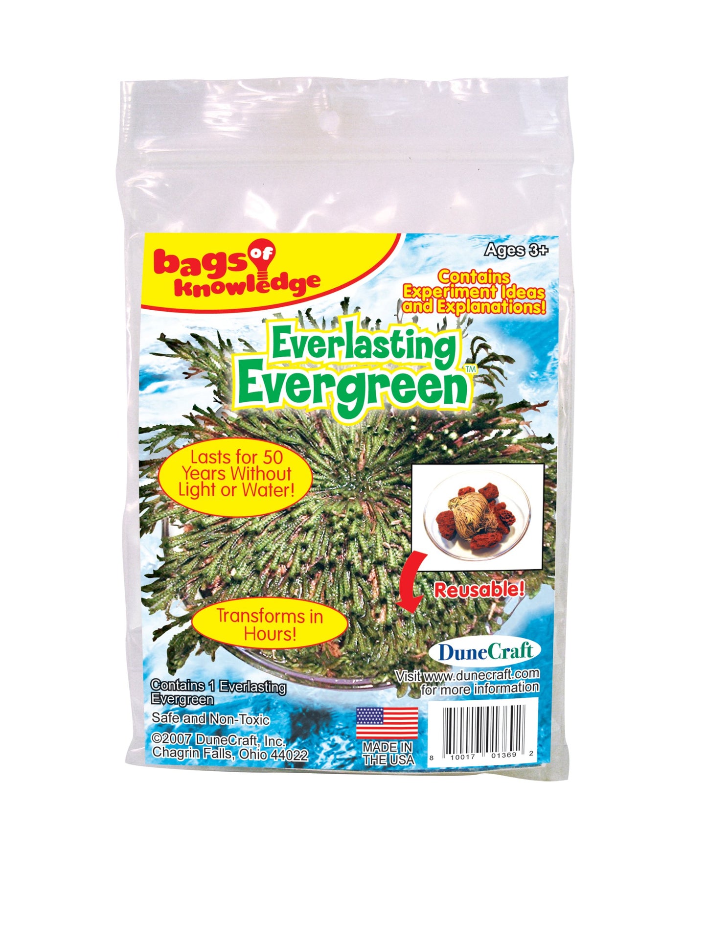 Dunecraft Everlasting Evergreen Science Kit, Red, Yellow or Blue Tablet