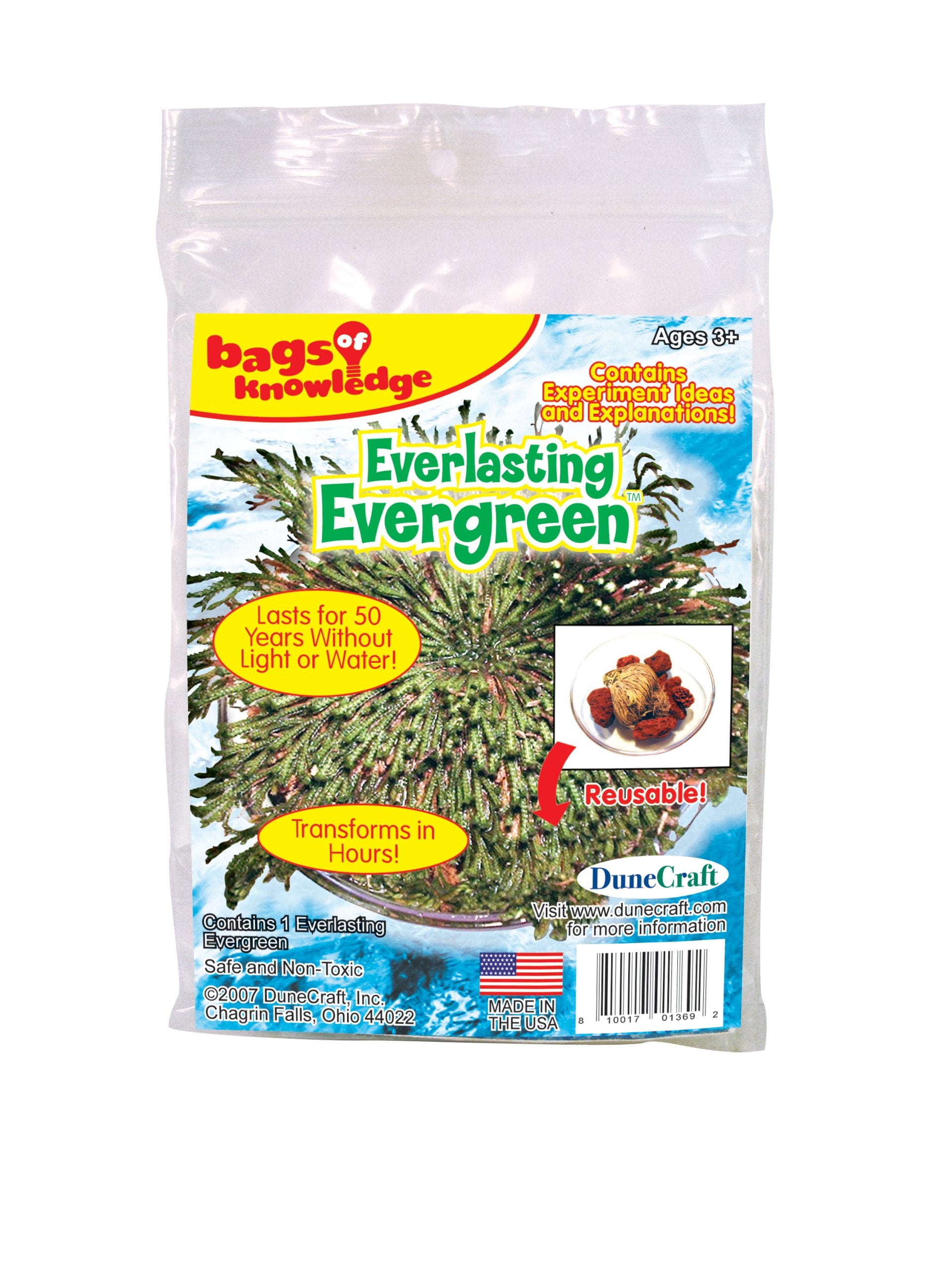 Dunecraft Everlasting Evergreen Science Kit, Red, Yellow or Blue Tablet