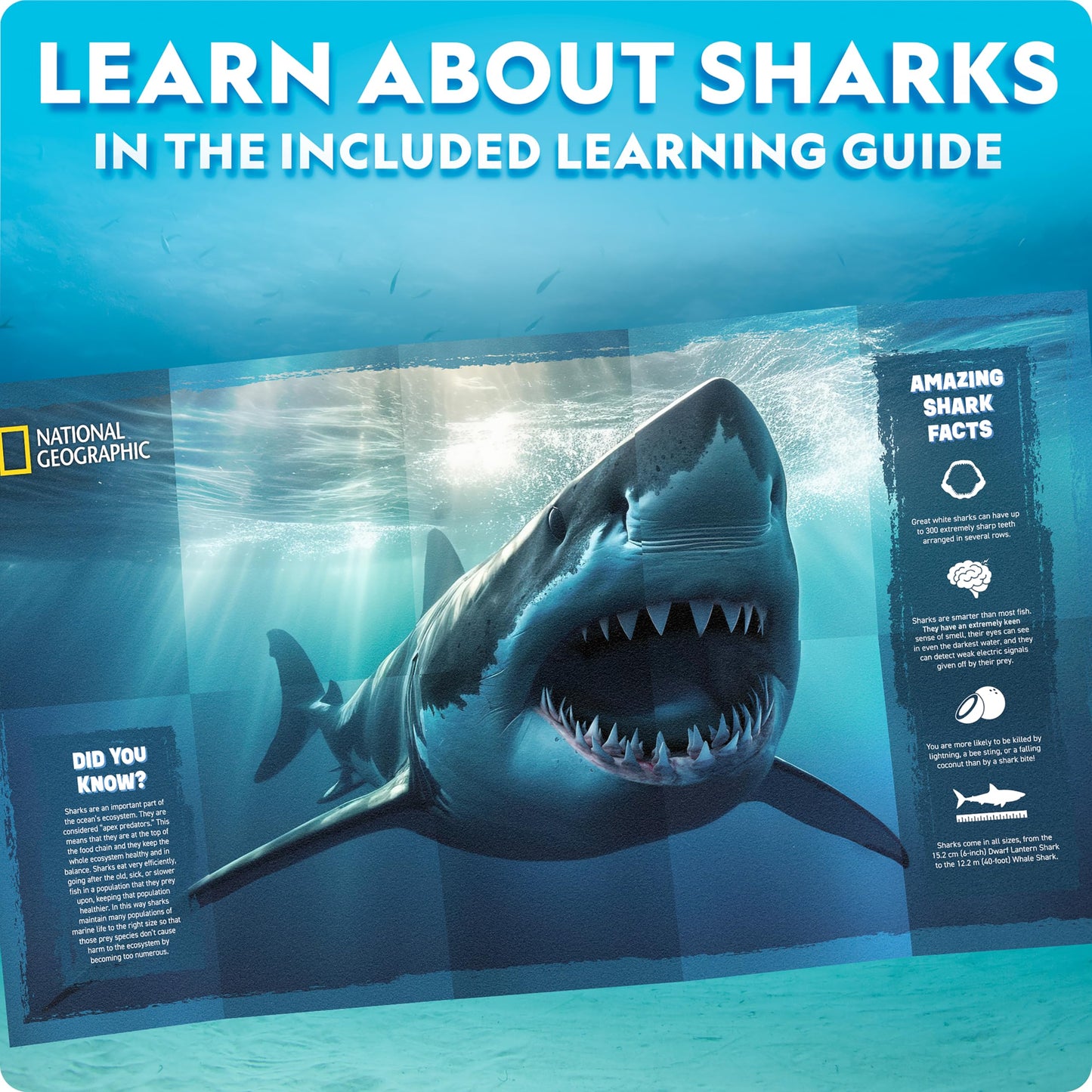 National Geographic Motorized Shark 3D Wood Puzzle Model Kit for Kids