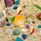 Beachcomber Treasure Hunt - Beach Paydirt with Shells, Sea Glass, Pearl, Fossils & Crystals