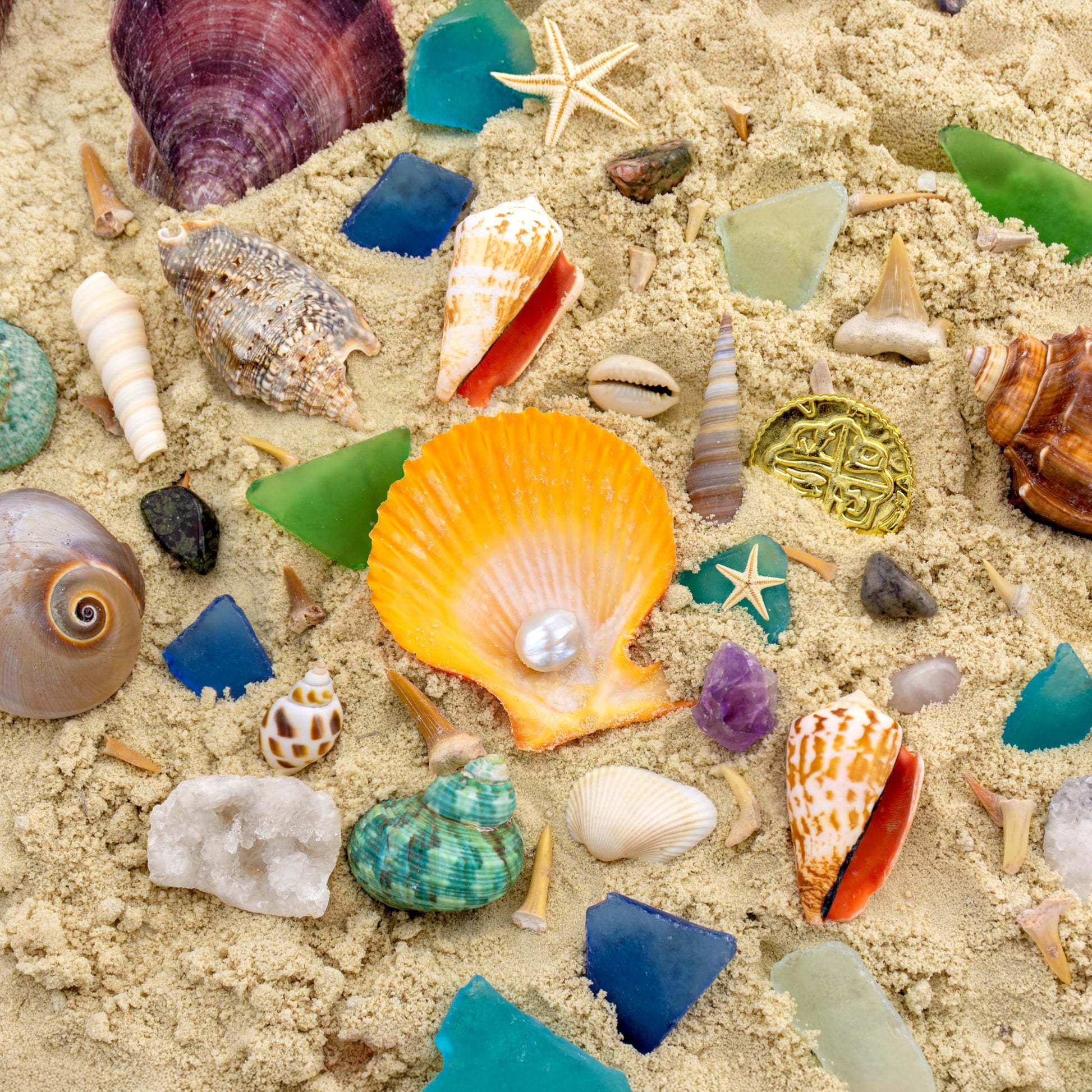 Beachcomber Treasure Hunt - Beach Paydirt with Shells, Sea Glass, Pearl, Fossils & Crystals