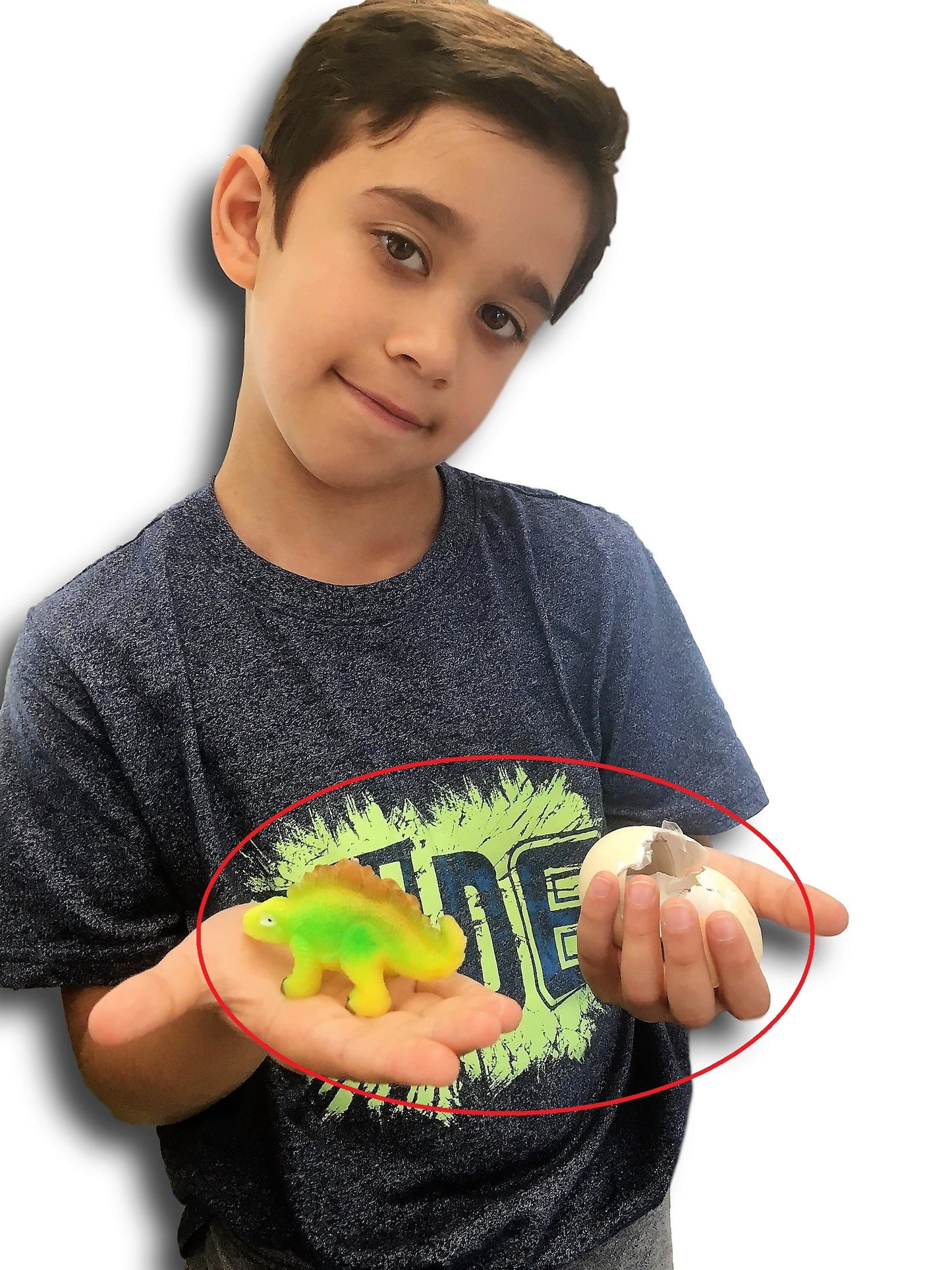 JA-RU Magic Grow Dinosaur Eggs - Water Growing Toys for Kids (1 Egg Assorted) Educational Science Toys, Dinosaur Party Favors, Classroom Prizes