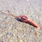 Safari Ltd. Giant Squid Figurine - Realistic 9.5" Sea Creature Figure - Educational Toy for Boys, Girls, and Kids Ages 3+