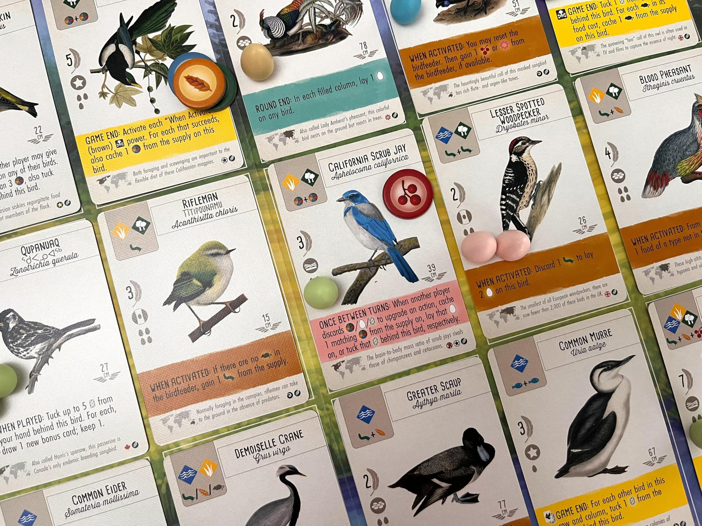 Stonemaier Games: Wingspan Fan-Designed Bird Promo Packs | 150 New Birds Designed by Fans Using Powers from Base Game & Expansions | Art Consistent