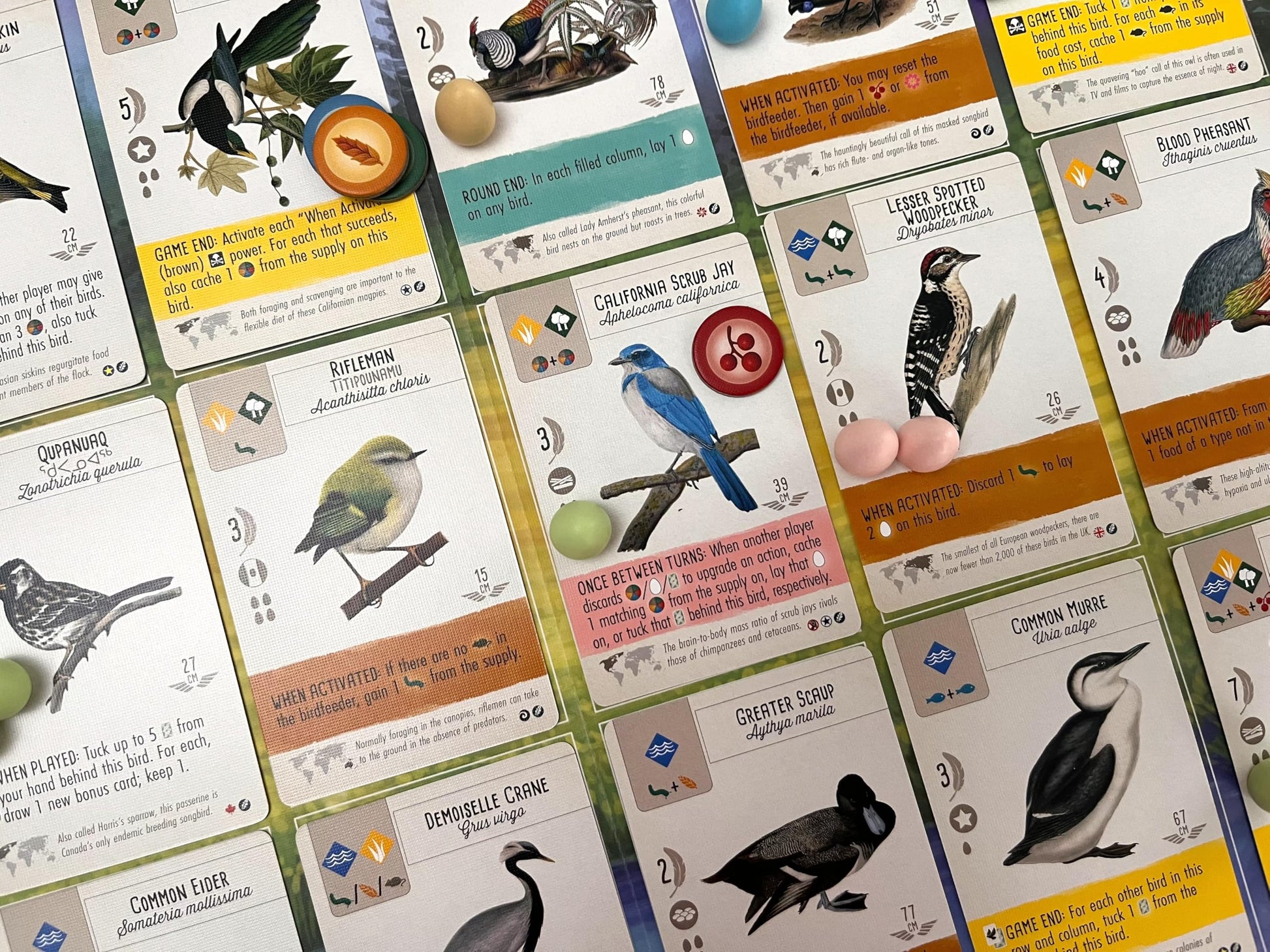 Stonemaier Games: Wingspan Fan-Designed Bird Promo Packs | 150 New Birds Designed by Fans Using Powers from Base Game & Expansions | Art Consistent