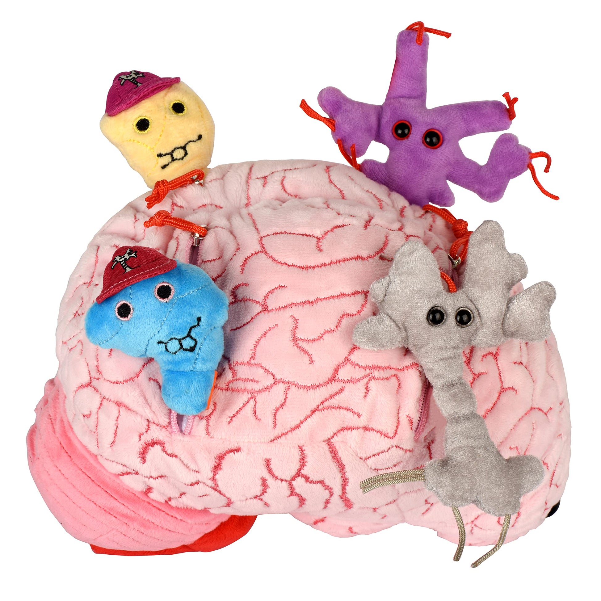 GIANT MICROBES Deluxe 9.5” Brain Plush - Includes Hidden Cells & Neurons