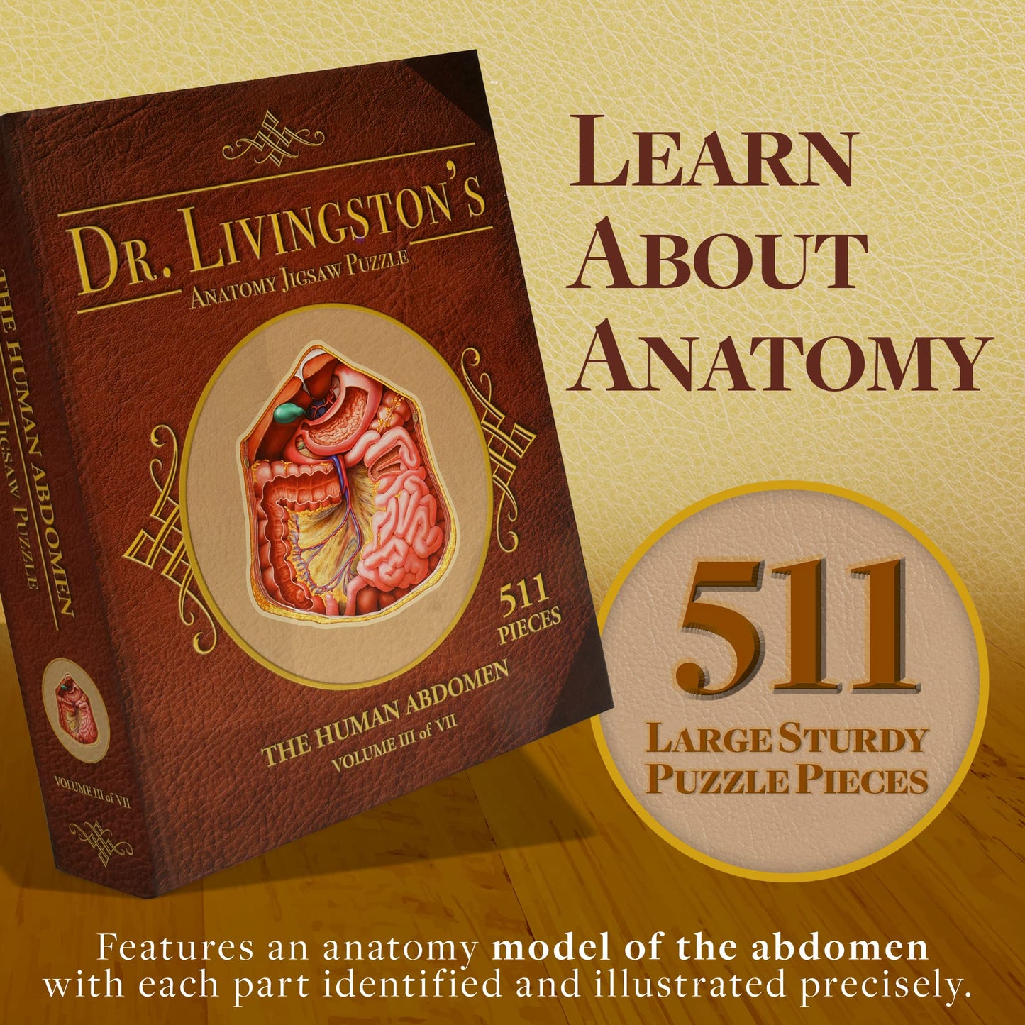 Genius Games Human Abdomen Anatomy Jigsaw Puzzle | Dr Livingston's Unique Shaped Science Puzzles, Accurate Medical Illustrations of the Body, Organs