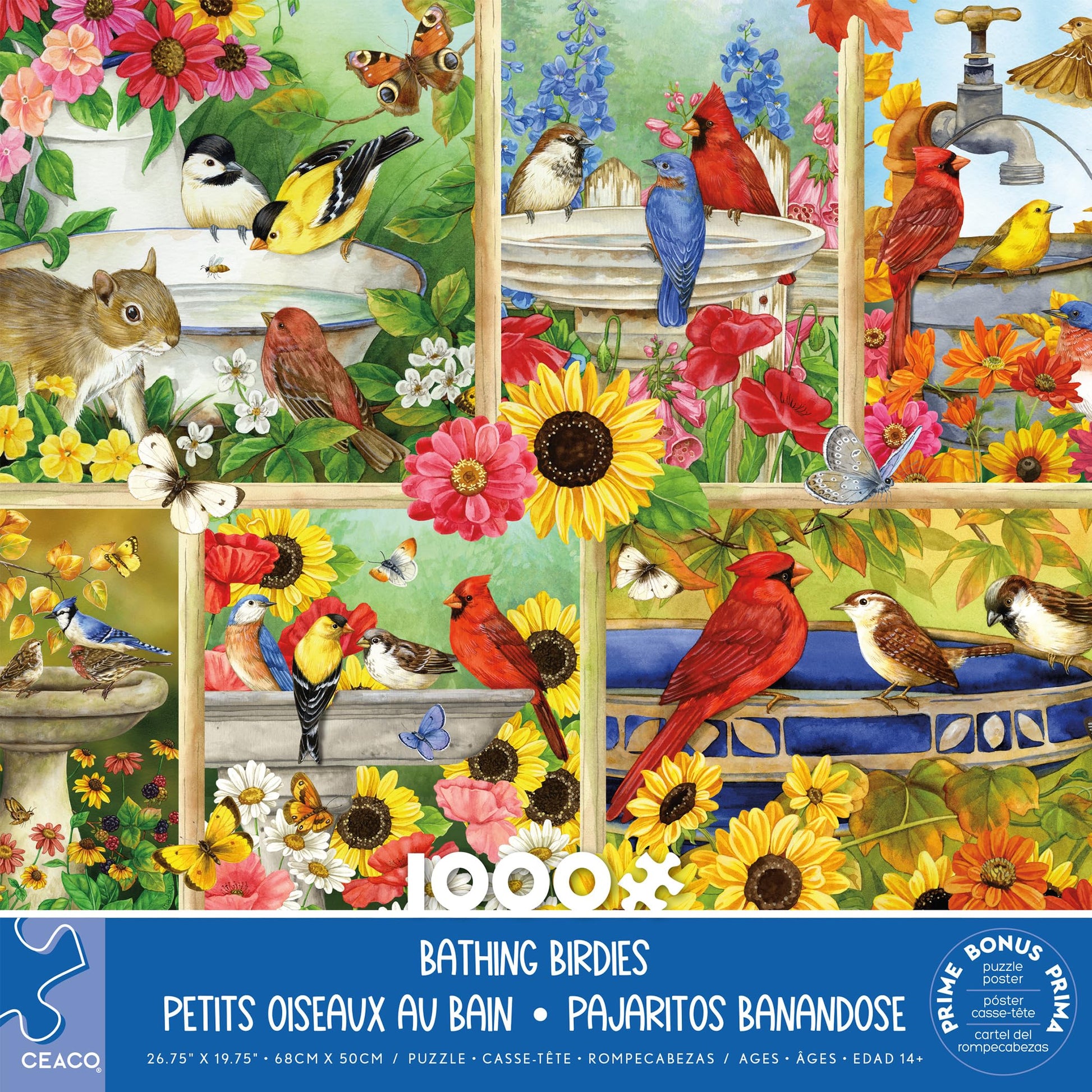 Ceaco - Bathing Birdies - 1000 Piece Jigsaw Puzzle for Adults