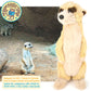 TigerHart Mimi The Meerkat - 10 Inch Stuffed Animal Plush