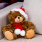 Plushland Adorable Soft and Hairy Santa Teddy Bear, Stuffed Animal Holiday Toys Christmas Accessories - A Perfect Toy Gift for Kids (6 Inches, Xmas