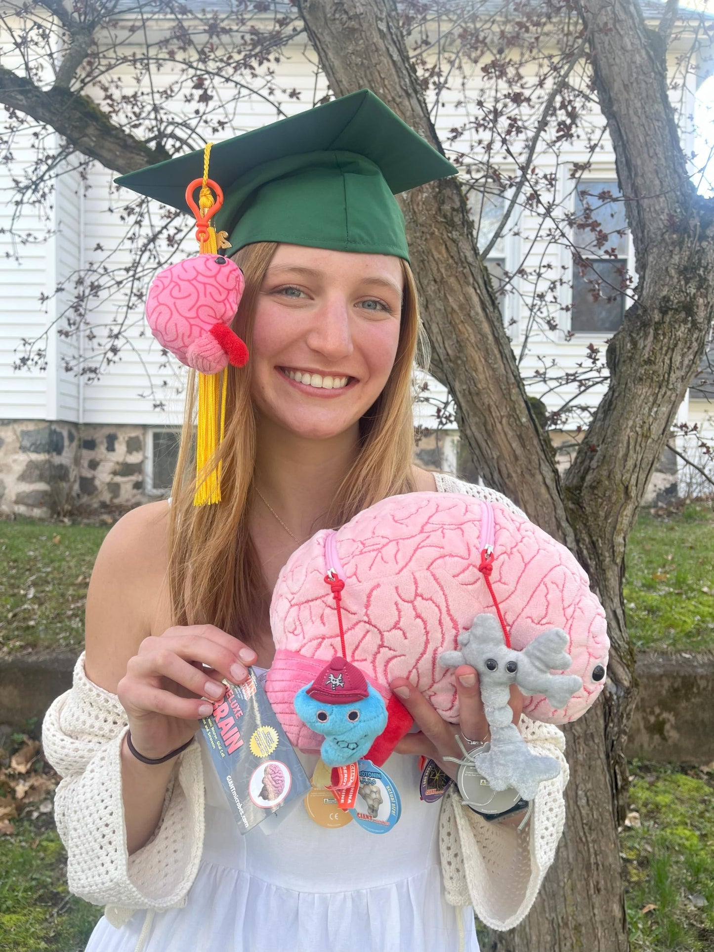 GIANT MICROBES Deluxe 9.5” Brain Plush - Includes Hidden Cells & Neurons
