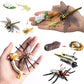 Gemini & Genius Life Cycle of Mosquito and Dragonfly Figurines, Insect Growth Diary Action Figures, Super Fun for Learning Gifts, Party Favors