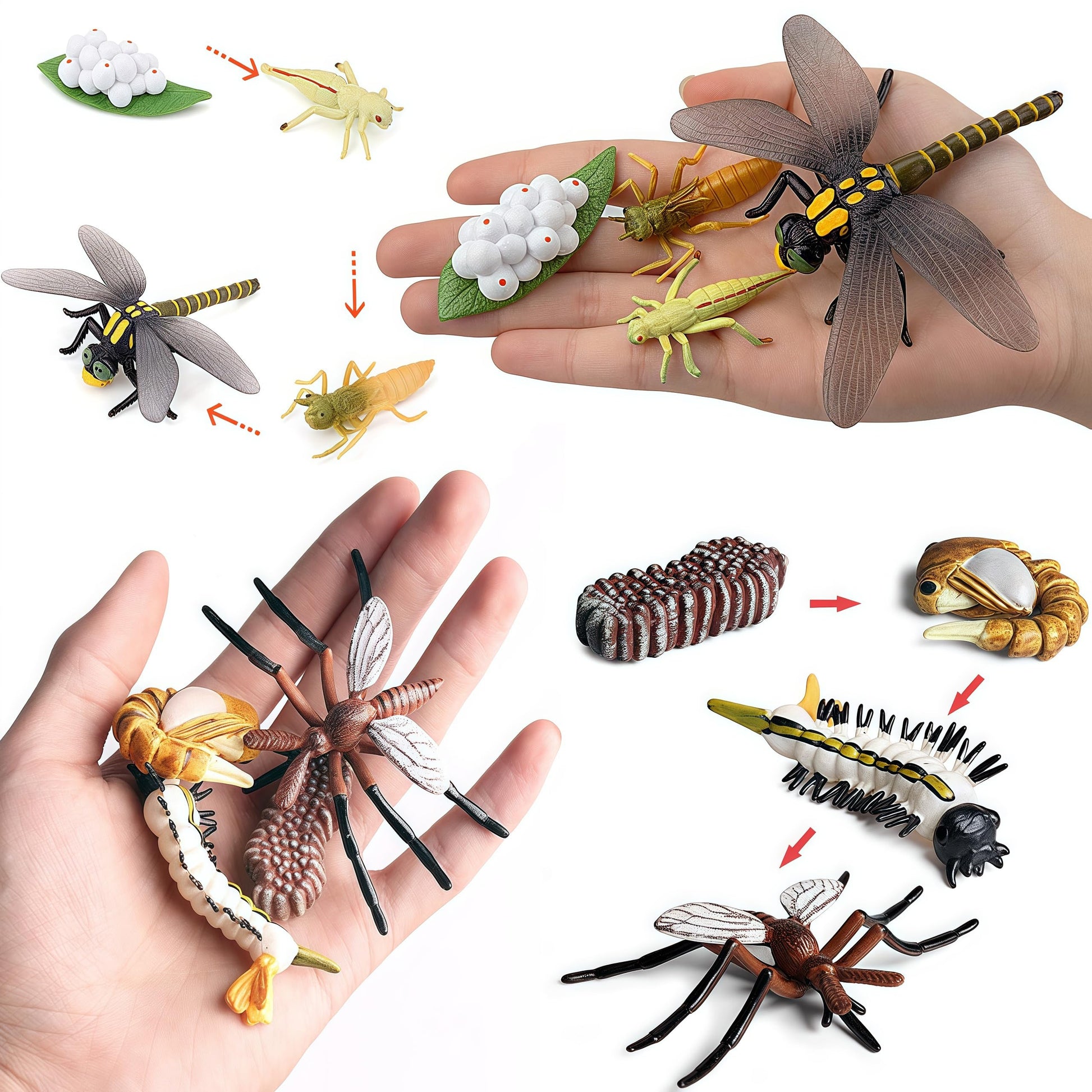 Gemini & Genius Life Cycle of Mosquito and Dragonfly Figurines, Insect Growth Diary Action Figures, Super Fun for Learning Gifts, Party Favors