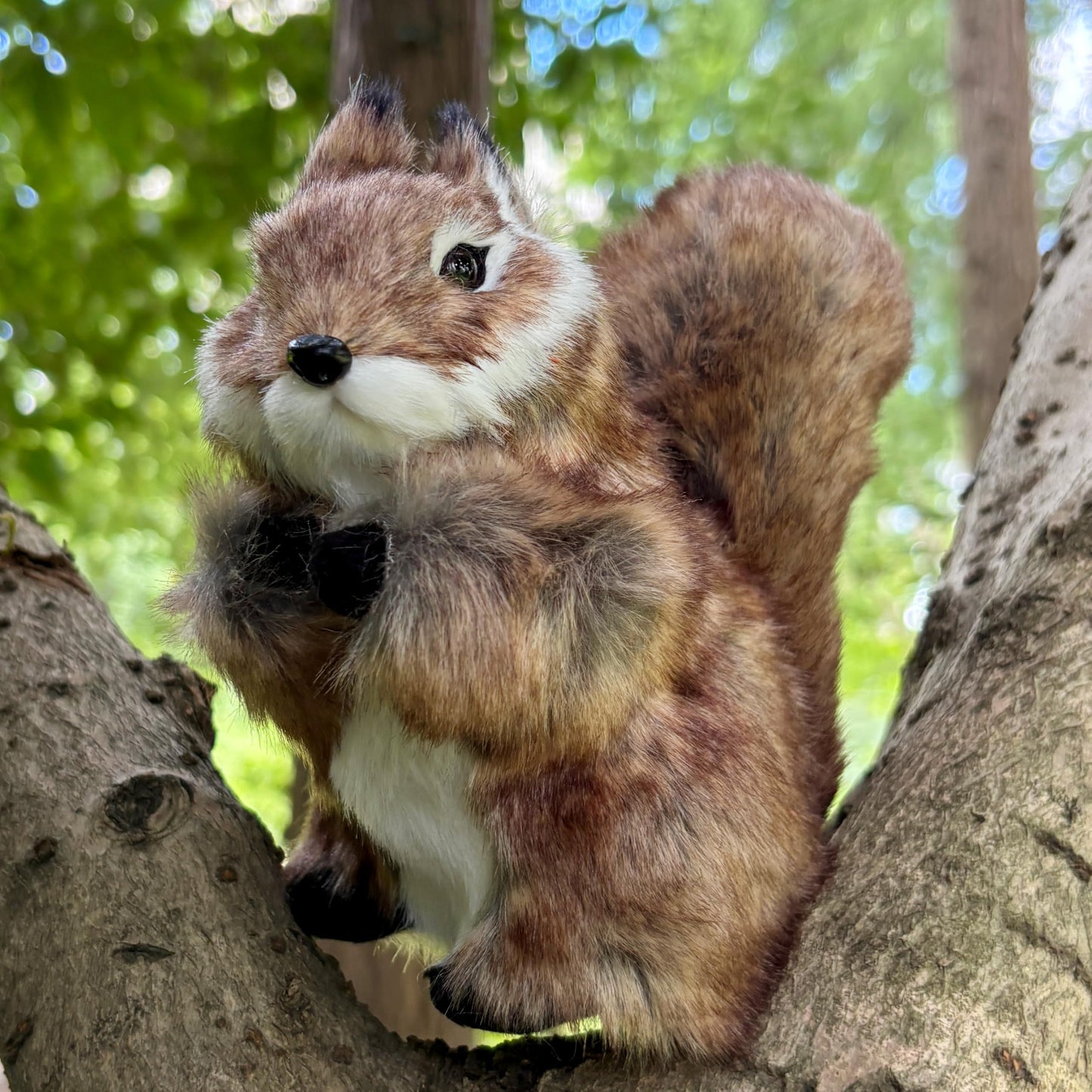 Basuo-9Q Realistic Squirrel Figurine - Lifelike Plush Tree Rodent