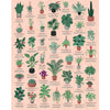 Ridley's Games: House Plants 1000-Piece Jigsaw Puzzle | Perfect for Plant Owners with Over 30 Unique Plants | Perfect Room Décor Once Completed |