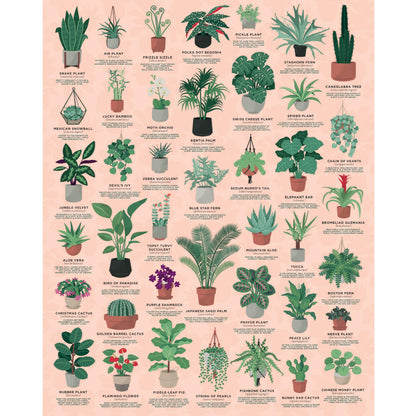 Ridley's Games: House Plants 1000-Piece Jigsaw Puzzle | Perfect for Plant Owners with Over 30 Unique Plants | Perfect Room Décor Once Completed |