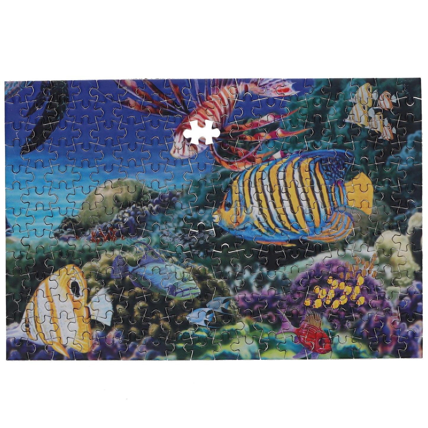 TDC Games World’s Smallest Jigsaw Puzzle, The Life Aquatic - Mini Puzzles, Small Challenging Travel Art Puzzle for Adults, 200+ Pieces, 6 x 4 inches