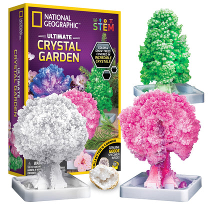 National Geographic Crystal Growing Craft Kit to Create a Crystal Garden