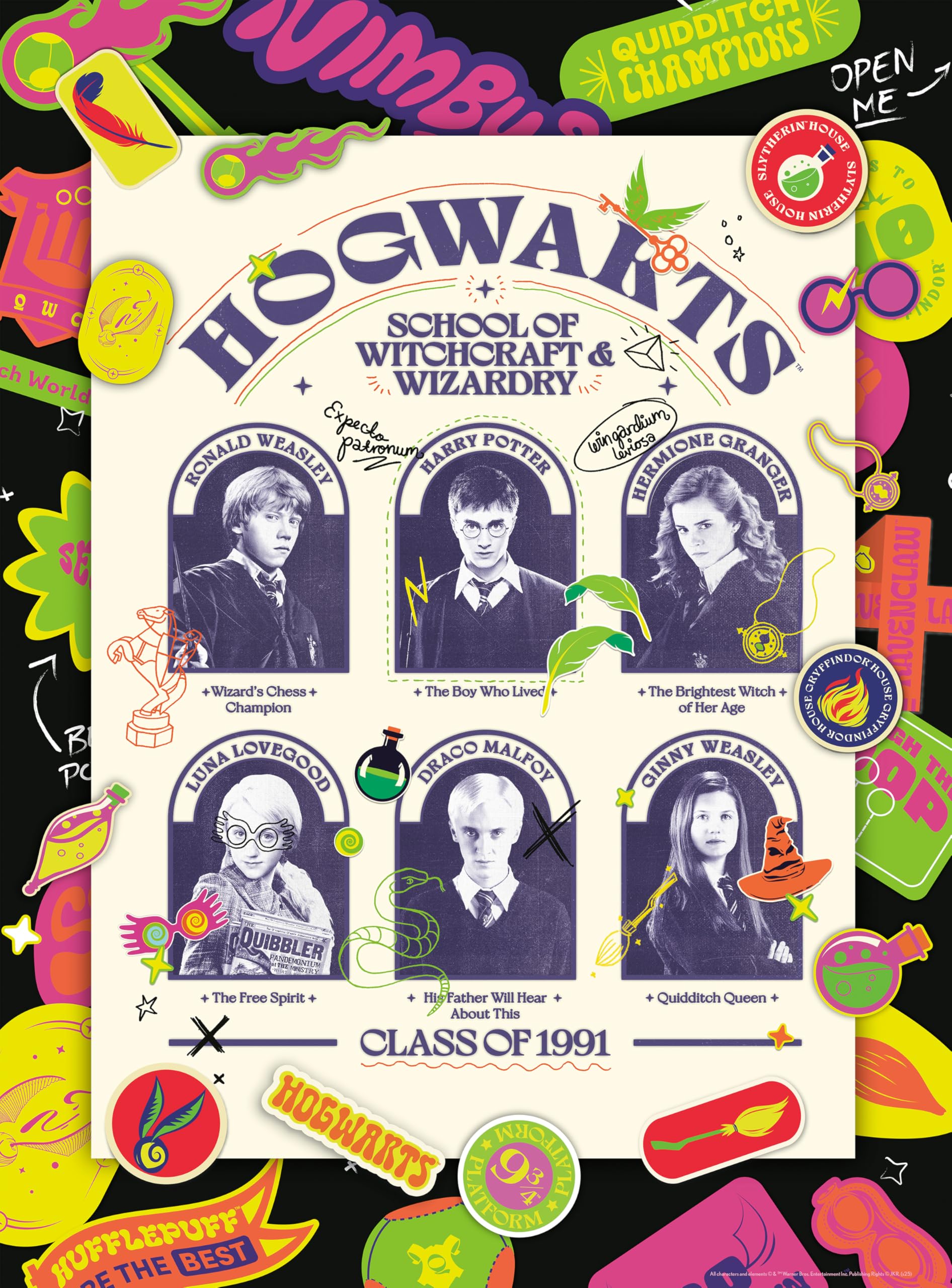 Ceaco - Hogwarts Class of 1991-1000 Piece Jigsaw Puzzle for Adults