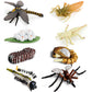 Gemini & Genius Life Cycle of Mosquito and Dragonfly Figurines, Insect Growth Diary Action Figures, Super Fun for Learning Gifts, Party Favors