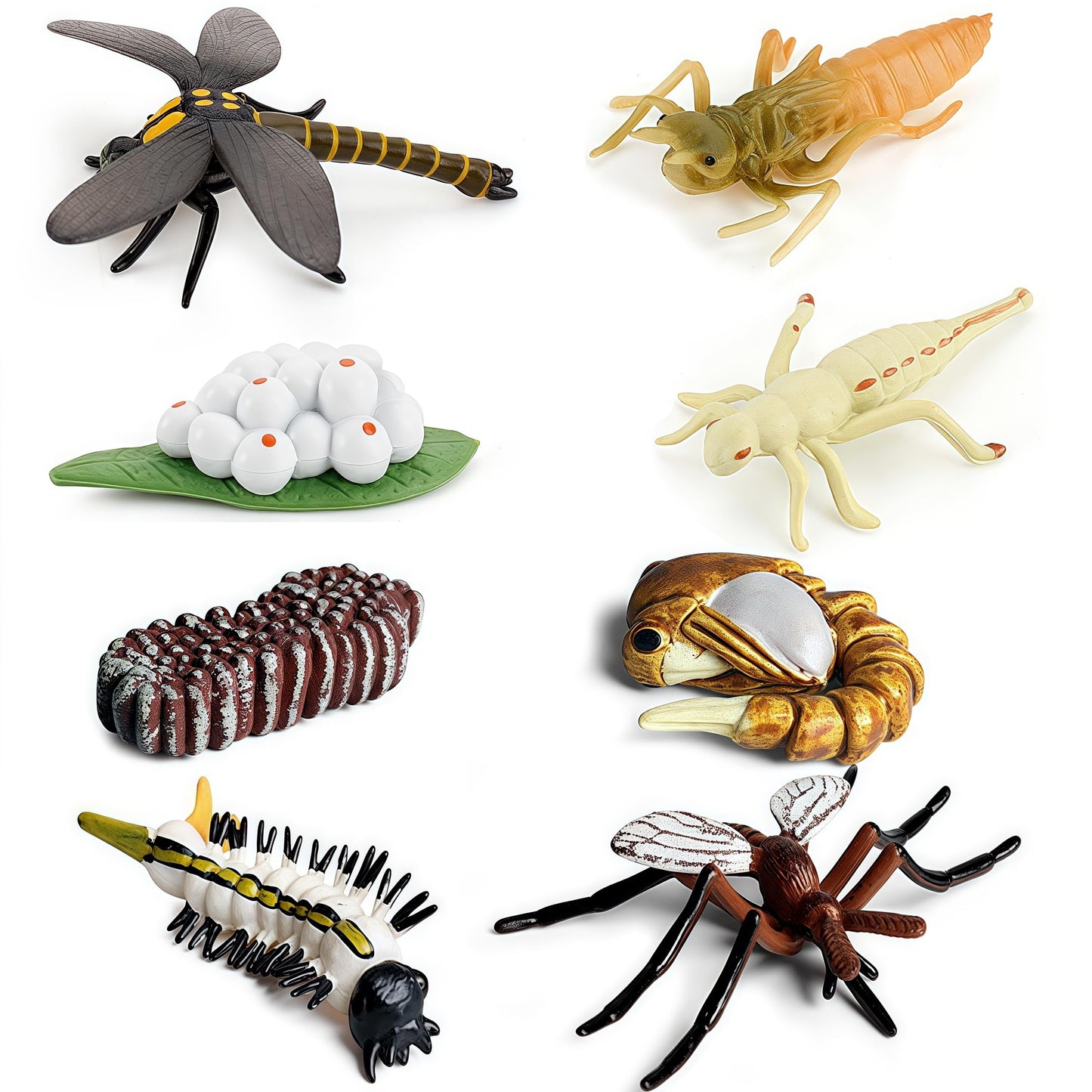 Gemini & Genius Life Cycle of Mosquito and Dragonfly Figurines, Insect Growth Diary Action Figures, Super Fun for Learning Gifts, Party Favors
