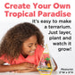Creativity for Kids Tropical Terrarium Craft Kit - Kids Terrarium Kit, STEAM Activity (Ages 7+)