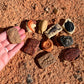 Safari Ltd. Ancient Fossils TOOB - Figurines: Dino Footprint, Giant Crab, Ammonite, Raptor Claw, T-Rex Tooth, Frog Skeleton, Sea Scorpion & More