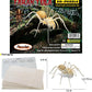 Puzzled 3D Puzzle Tarantula Spider Wood Craft Construction Model Kit, Fun & Educational DIY Wooden Toy Assemble Model Unfinished Crafting Hobby Puzzle