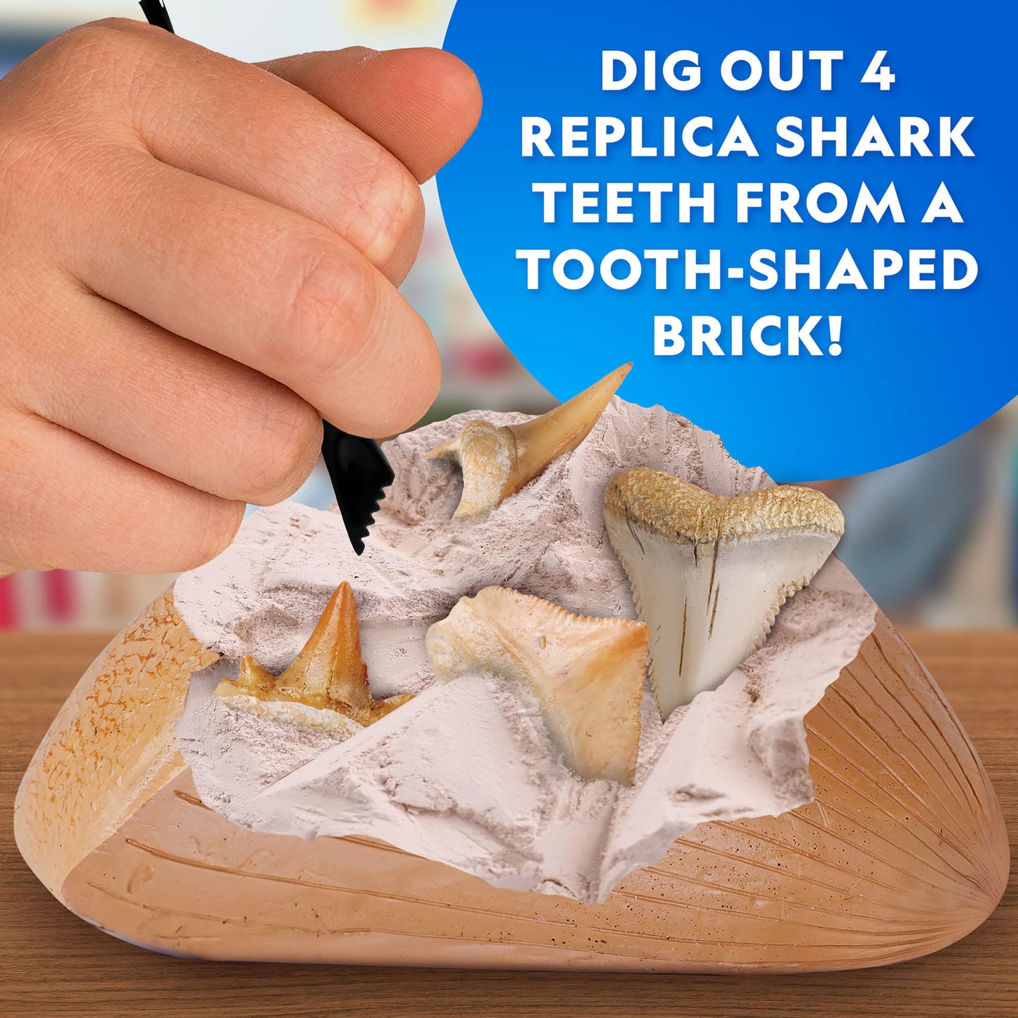 National Geographic Shark Tooth Fossil Dig Kit and Necklace for Kids