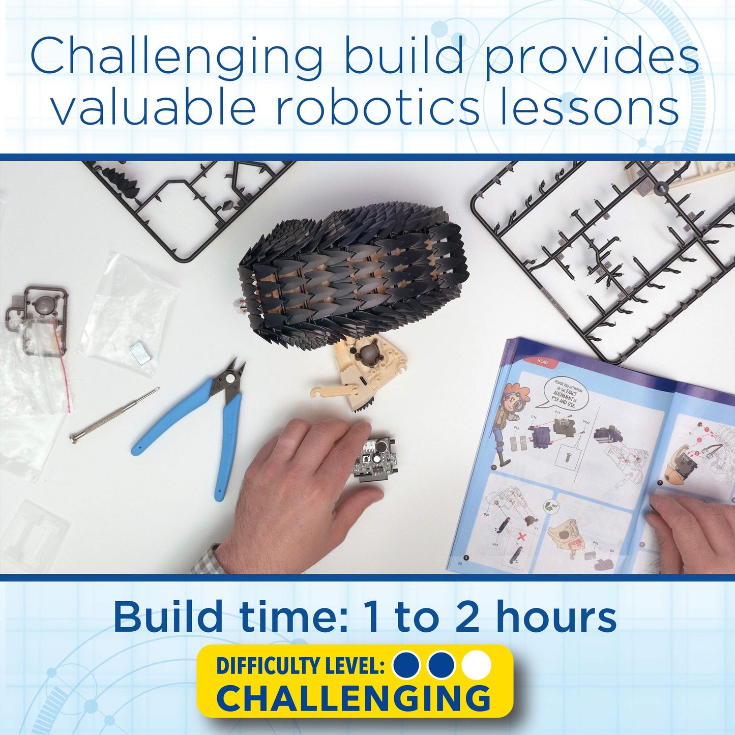 Thames & Kosmos My Robotic Pet - Tumbling Hedgehog | Build Your Own Sound Activated Tumbling, Rolling, Scurrying Pet | STEM Experiment Kit | Toy