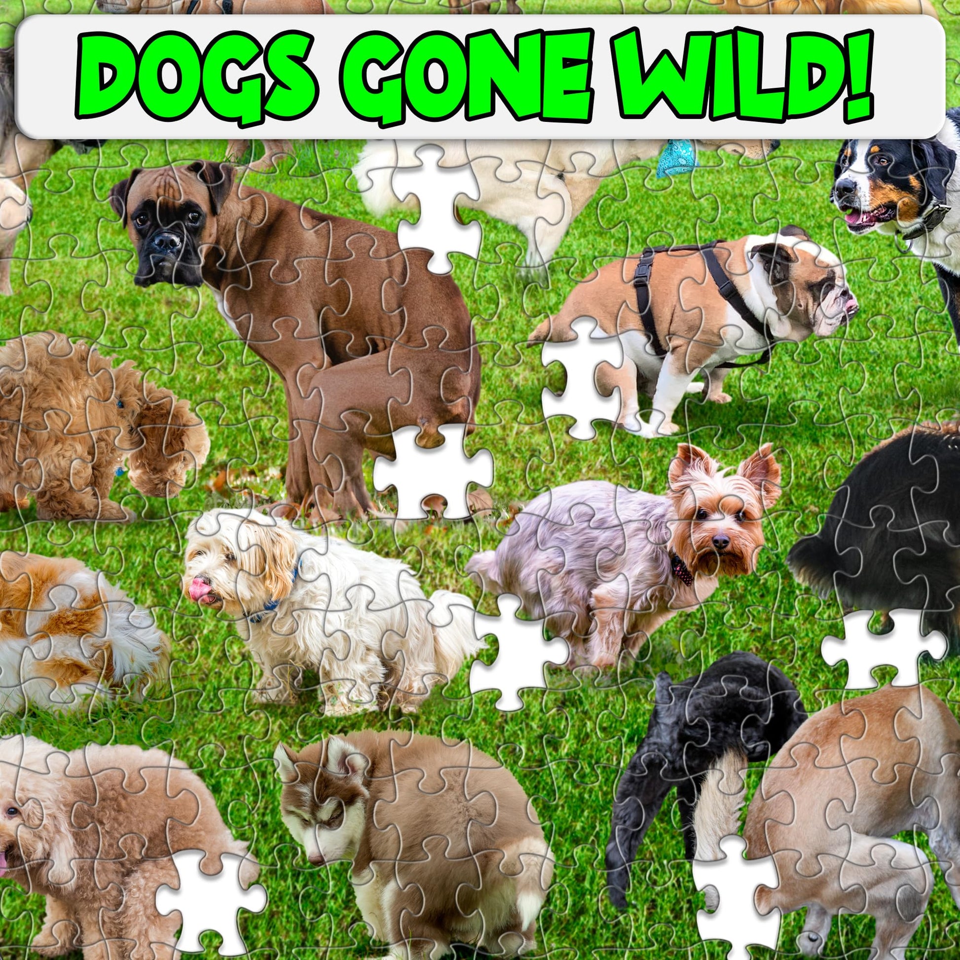 Funwares 101 Pooping Puppies Puzzle, 1000 Piece Jigsaw, Dog Lover Gag Gift