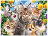 Ceaco - Selfies - Feline Friends - 550 Piece Jigsaw Puzzle