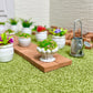 SAMCAMI Miniature Dollhouse Accessories, Mini Plants for 1 12 Scale Dollhouse, Miniature Fairy Garden Accessories, 14 Pieces (No.1)