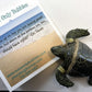 Leave Only Bubbles Collectible Set of sea Turtle Models