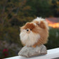 Aurora Miyoni 9" Pomeranian Realistic Stuffed Animal