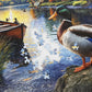 Springbok Mallard Morning Glow 1000 Piece Jigsaw Puzzle for Adults
