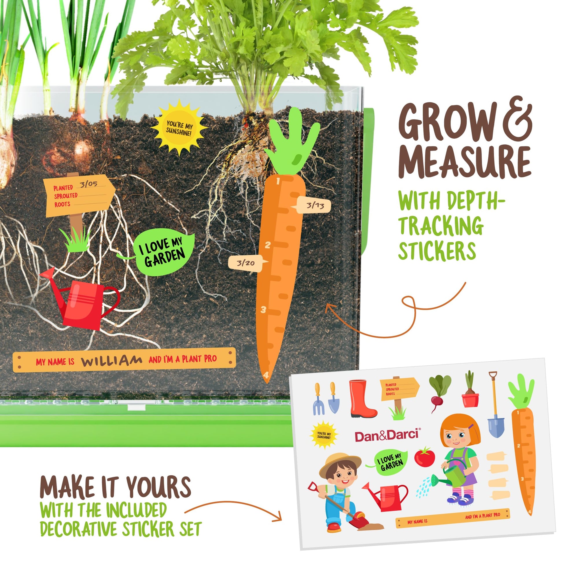 Root Viewer Kit for Kids - Grow Your Own Plant for Boys & Girls Gifts
