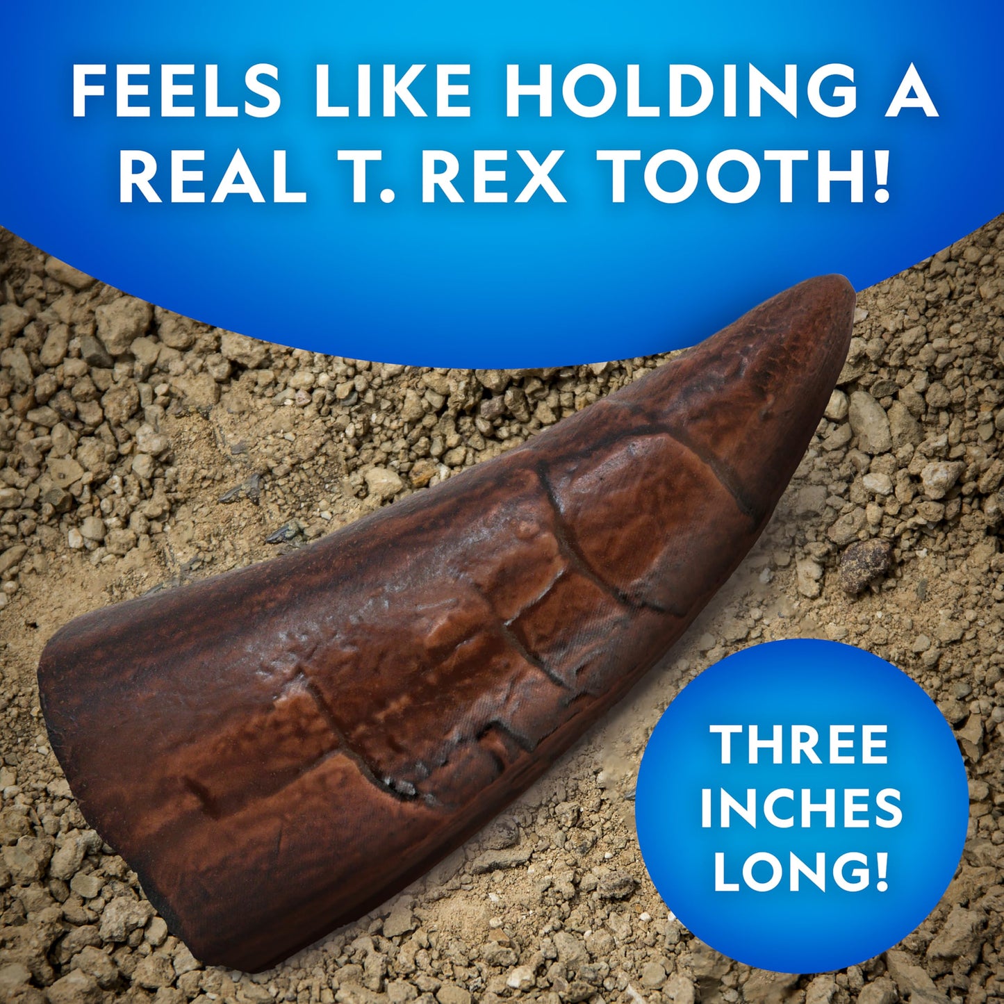 NATIONAL GEOGRAPHIC Dino Fossil Dig Kit & Dinosaur Book for Kids- Excavate a Replica Dinosaur Tooth Fossil and Study Paleontology with a Full-Color