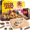 Dan&Darci Real Fossil Dig Kit for Kids - Science Kits for Boys & Girls Age 8-12 - Birthday Gift Ideas for 8, 9, 10, 11, 12 Year Old Boy or Girl