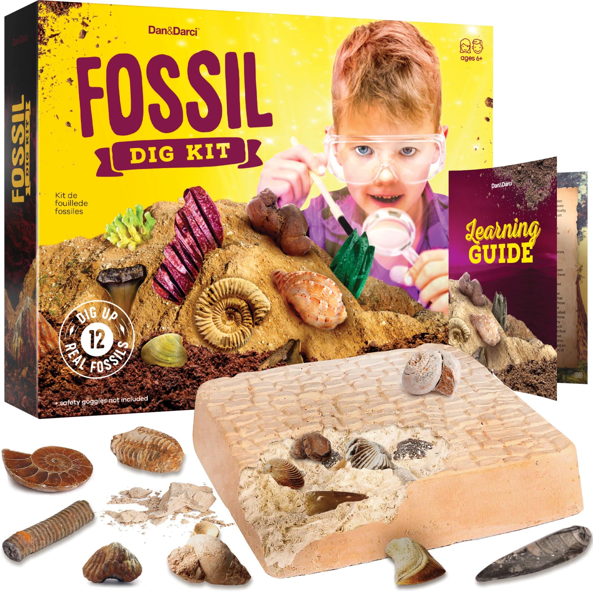 Dan&Darci Real Fossil Dig Kit for Kids - Science Kits for Boys & Girls Age 8-12 - Birthday Gift Ideas for 8, 9, 10, 11, 12 Year Old Boy or Girl
