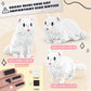 IBLOTIME 3 in 1 Persian Cat Mini Building Blocks Set, 1116 PCS Micro Building Kit for Adults & Teens, Small Brick Animal Model, Desk Decor Display