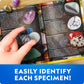 National Geographic Gigantic Gemstone Dig Kit with 100 Real Gems