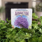 Renegade Game Studios Arboretum Card Game: Strategy Game for 2-4 Players, Ages 8 & Up, 30 Minute Garden Board Game